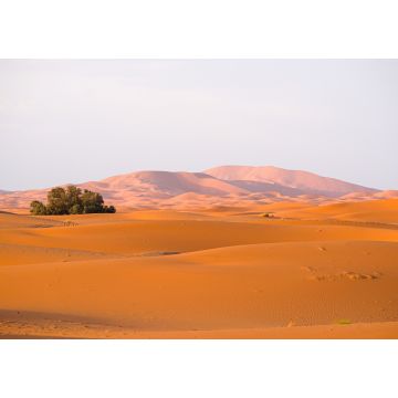 Lais Puzzle - Frühes Morgenlicht an den Wüstendünen Erg Chebbi im Süden Marokkos, in der Nähe von Merzouga - 1.000 Teile