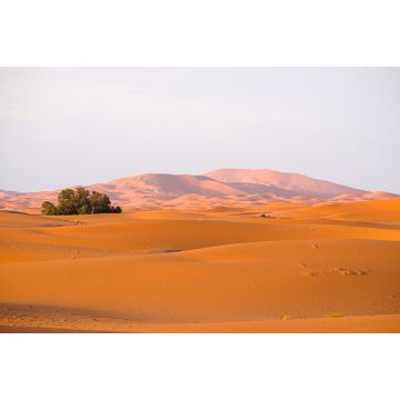 Lais Puzzle - Frühes Morgenlicht an den Wüstendünen Erg Chebbi im Süden Marokkos, in der Nähe von Merzouga - 2.000 Teile