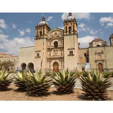Lais Puzzle - Die Kirche Santo Domingo in der Stadt Oaxaca - 40, 100, 200, 500, 1.000 & 2.000 Teile