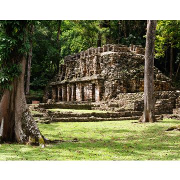 Lais Puzzle - Yaxchilan Maya-Ruinen in Mexiko - 40, 100, 200, 500, 1.000 & 2.000 Teile