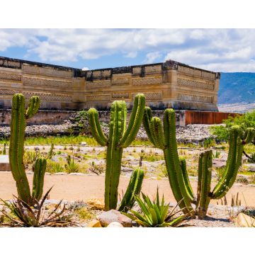 Lais Puzzle - Archäologische Stätte von Mitla, Oaxaca, Mexiko - 40, 100, 200, 500, 1.000 & 2.000 Teile