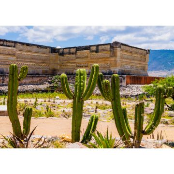 Lais Puzzle - Archäologische Stätte von Mitla, Oaxaca, Mexiko - 1.000 Teile