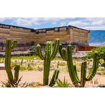 Lais Puzzle - Archäologische Stätte von Mitla, Oaxaca, Mexiko - 2.000 Teile
