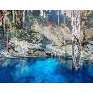 Lais Puzzle - Cenoten in Cuzama, Mexiko - 40, 100, 200, 500, 1.000 & 2.000 Teile