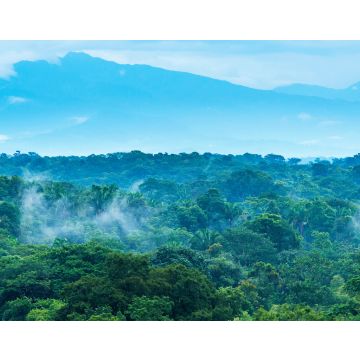 Lais Puzzle - Dschungel-Landschaft in Mexiko - 40, 100, 200, 500, 1.000 & 2.000 Teile
