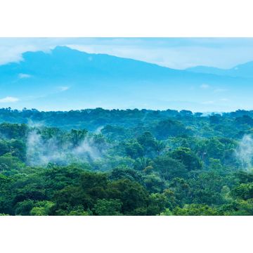 Lais Puzzle - Dschungel-Landschaft in Mexiko - 1.000 Teile