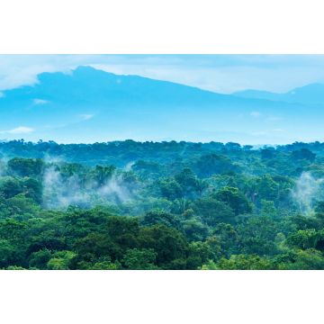 Lais Puzzle - Dschungel-Landschaft in Mexiko - 2.000 Teile