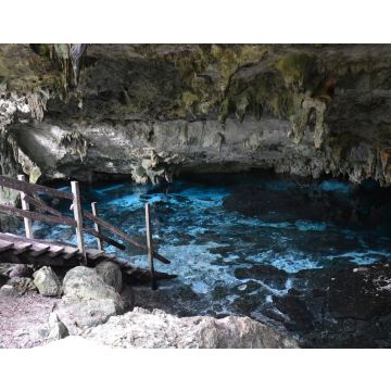 Lais Puzzle - Cenote Dos Ojos Mexique - Dos Ojos Cenote Mexiko - 40, 100, 200, 500, 1.000 & 2.000 Teile
