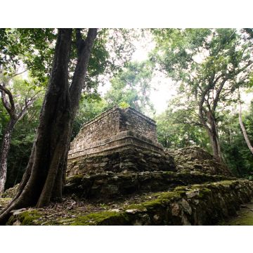Lais Puzzle - Maya-Ruinen inmitten des mexikanischen Dschungels, alte Steinbauten, die von Pflanzen und Bäumen überwuchert sind - 40, 100, 200, 500, 1.000 & 2.000 Teile