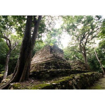 Lais Puzzle - Maya-Ruinen inmitten des mexikanischen Dschungels, alte Steinbauten, die von Pflanzen und Bäumen überwuchert sind - 1.000 Teile