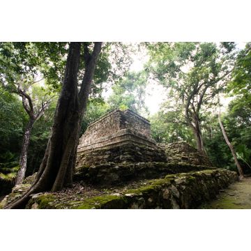 Lais Puzzle - Maya-Ruinen inmitten des mexikanischen Dschungels, alte Steinbauten, die von Pflanzen und Bäumen überwuchert sind - 2.000 Teile