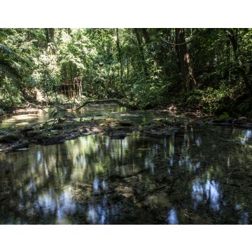 Lais Puzzle - Dschungel und Wasser rund um die Tempel von Palenque. Yucatan, Mexiko - 40, 100, 200, 500, 1.000 & 2.000 Teile