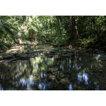 Lais Puzzle - Dschungel und Wasser rund um die Tempel von Palenque. Yucatan, Mexiko - 1.000 Teile