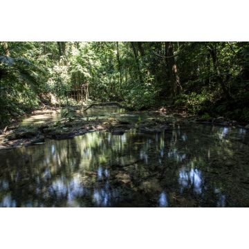 Lais Puzzle - Dschungel und Wasser rund um die Tempel von Palenque. Yucatan, Mexiko - 2.000 Teile