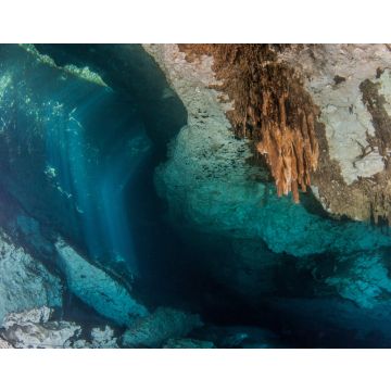 Lais Puzzle - Tauchen in der Cenote Jardin del Eden in Mexiko - 40, 100, 200, 500, 1.000 & 2.000 Teile