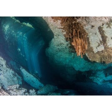 Lais Puzzle - Tauchen in der Cenote Jardin del Eden in Mexiko - 1.000 Teile