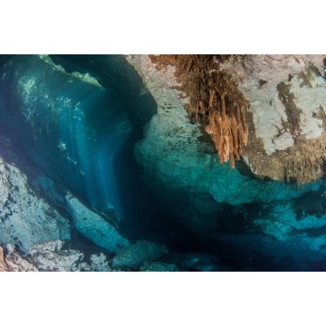 Lais Puzzle - Tauchen in der Cenote Jardin del Eden in Mexiko - 2.000 Teile