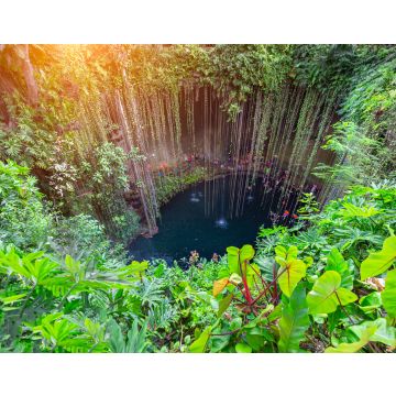 Lais Puzzle - Ik Kil Cenote im nördlichen Zentrum der Halbinsel Yucatán, Teil des archäologischen Parks Ik Kil in der Nähe von Chichen Itza - 40, 100, 200, 500, 1.000 & 2.000 Teile