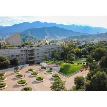 Lais Puzzle - Monterrey, México - 1.000 Teile