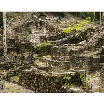 Lais Puzzle - Ruinen des Tempelkomplexes von Dzibanche in Quintana Roo, Mexiko - 40, 100, 200, 500, 1.000 & 2.000 Teile