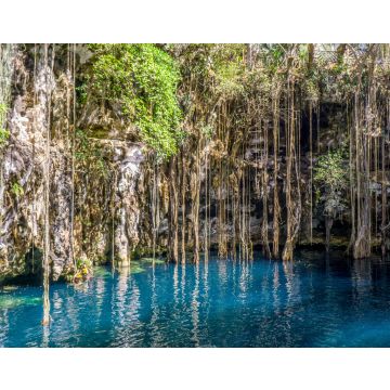Lais Puzzle - Yokdzonot Cenote in Yucatan, Mexiko - 40, 100, 200, 500, 1.000 & 2.000 Teile