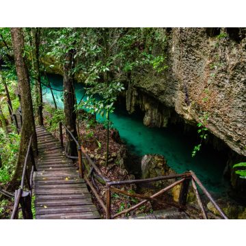 Lais Puzzle - Holzpfad in einer Cenote mit kristallklarem Süßwasser bei Tulum - Riviera Maya, Tulum, Yucatan, Mexiko - 40, 100, 200, 500, 1.000 & 2.000 Teile