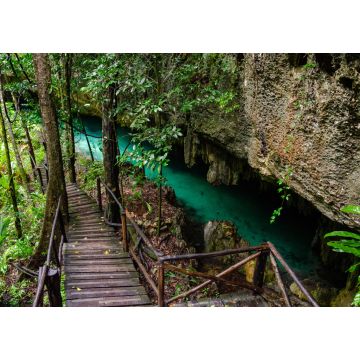 Lais Puzzle - Holzpfad in einer Cenote mit kristallklarem Süßwasser bei Tulum - Riviera Maya, Tulum, Yucatan, Mexiko - 1.000 Teile