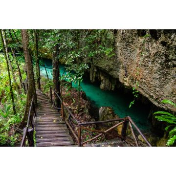 Lais Puzzle - Holzpfad in einer Cenote mit kristallklarem Süßwasser bei Tulum - Riviera Maya, Tulum, Yucatan, Mexiko - 2.000 Teile