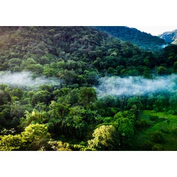 Lais Puzzle - La selva de la reserva de la biosfera de Los Tuxtlas, lleno de biodiversidad, esta área natural protegida se ubica en Veracruz, México - 1.000 Teile