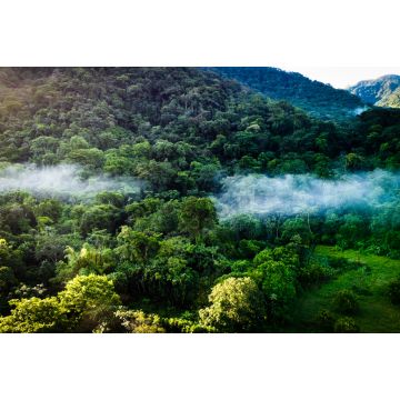 Lais Puzzle - La selva de la reserva de la biosfera de Los Tuxtlas, lleno de biodiversidad, esta área natural protegida se ubica en Veracruz, México - 2.000 Teile