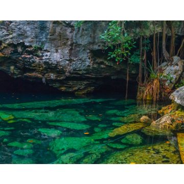 Lais Puzzle - Fullshot einer wunderschönen Cenote mit klarem Wasser in Mexiko - 40, 100, 200, 500, 1.000 & 2.000 Teile
