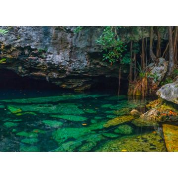 Lais Puzzle - Fullshot einer wunderschönen Cenote mit klarem Wasser in Mexiko - 1.000 Teile
