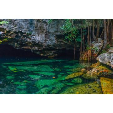 Lais Puzzle - Fullshot einer wunderschönen Cenote mit klarem Wasser in Mexiko - 2.000 Teile