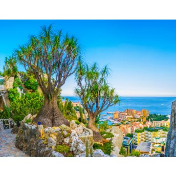 Lais Puzzle - Jardin Exotique Garten in Monaco - 40, 100, 200, 500, 1.000 & 2.000 Teile
