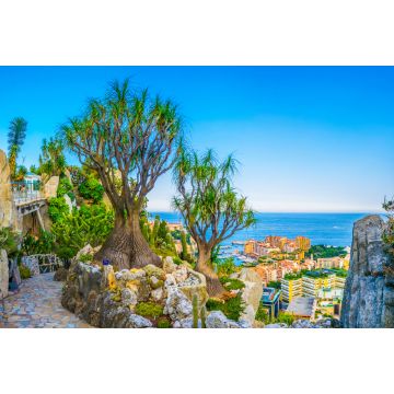 Lais Puzzle - Jardin Exotique Garten in Monaco - 2.000 Teile