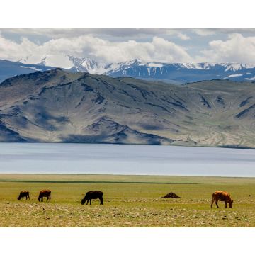 Lais Puzzle - Landschaft Mongolei - 40, 100, 200, 500, 1.000 & 2.000 Teile