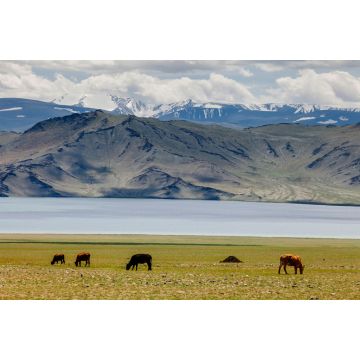 Lais Puzzle - Landschaft Mongolei - 2.000 Teile