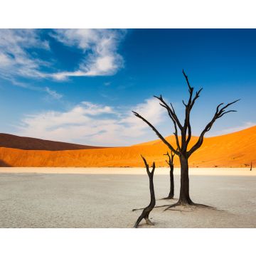 Lais Puzzle - Tote Bäume und rote Dünen im Dead Vlei, Sossusvlei, Namibia, Konzept für Reisen in Afrika - 40, 100, 200, 500, 1.000 & 2.000 Teile