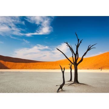 Lais Puzzle - Tote Bäume und rote Dünen im Dead Vlei, Sossusvlei, Namibia, Konzept für Reisen in Afrika - 1.000 Teile