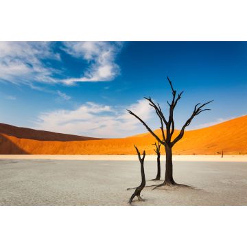 Lais Puzzle - Tote Bäume und rote Dünen im Dead Vlei, Sossusvlei, Namibia, Konzept für Reisen in Afrika - 2.000 Teile