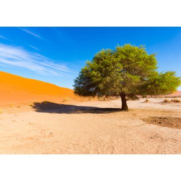 Lais Puzzle - Sossusvlei Namibia, landschaftlich reizvolle Tonsalzebene mit geflochtenen Akazienbäumen und majestätischen Sanddünen. Namib Naukluft National Park - 1.000 Teile