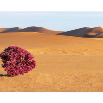 Lais Puzzle - Dünen, lila Busch und Sand in der Namib-Wüste - 40, 100, 200, 500, 1.000 & 2.000 Teile