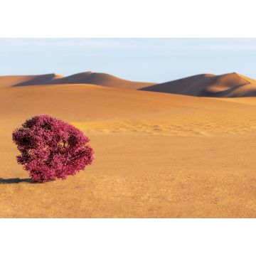 Lais Puzzle - Dünen, lila Busch und Sand in der Namib-Wüste - 1.000 Teile