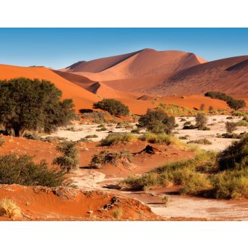 Lais Puzzle - Sanddünen bei Sossusvlie - Namib-Wüste - Namibia - 40, 100, 200, 500, 1.000 & 2.000 Teile