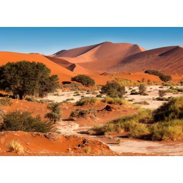Lais Puzzle - Sanddünen bei Sossusvlie - Namib-Wüste - Namibia - 1.000 Teile