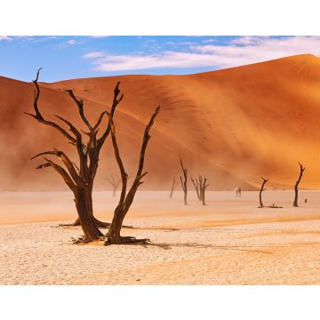 Lais Puzzle - Tote Bäume im Deadvlei in Namibia - 40, 100, 200, 500, 1.000 & 2.000 Teile