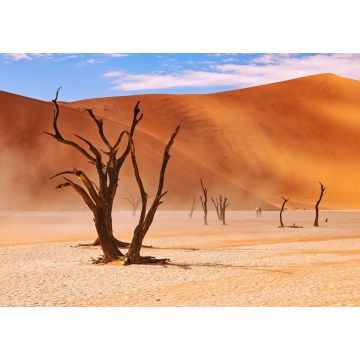 Lais Puzzle - Tote Bäume im Deadvlei in Namibia - 1.000 Teile