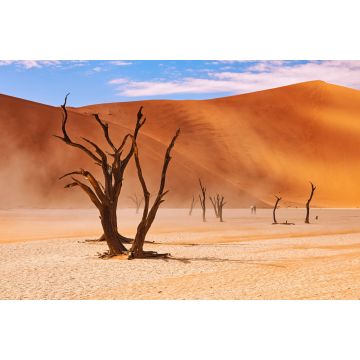 Lais Puzzle - Tote Bäume im Deadvlei in Namibia - 2.000 Teile