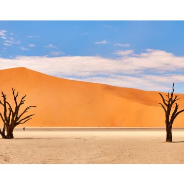 Lais Puzzle - Namibische Wüstenlandschaft - 40, 100, 200, 500, 1.000 & 2.000 Teile