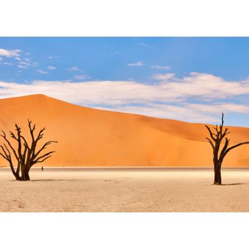 Lais Puzzle - Namibische Wüstenlandschaft - 1.000 Teile